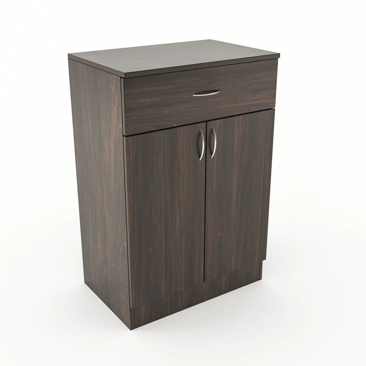 Modern Wooden Shoe Cabinet with Drawer & 2 Door Storage - Dark Walnut Finish