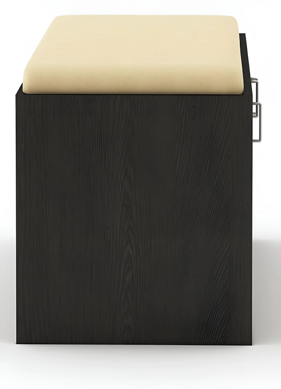 Floresta Wud Engineered Wood Shoe Rack Bench (Black Finish)
